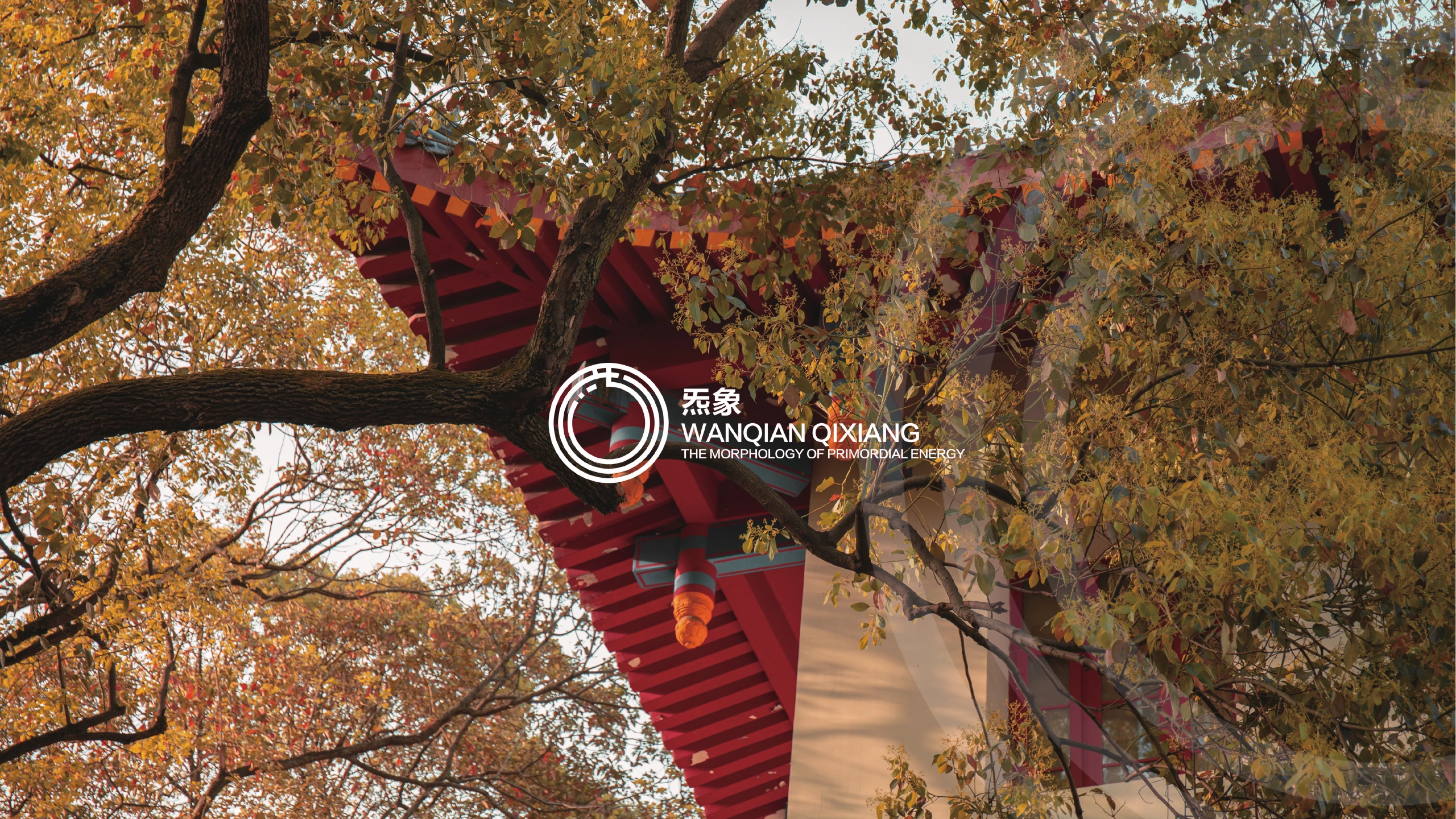 炁象视觉形象系统 26